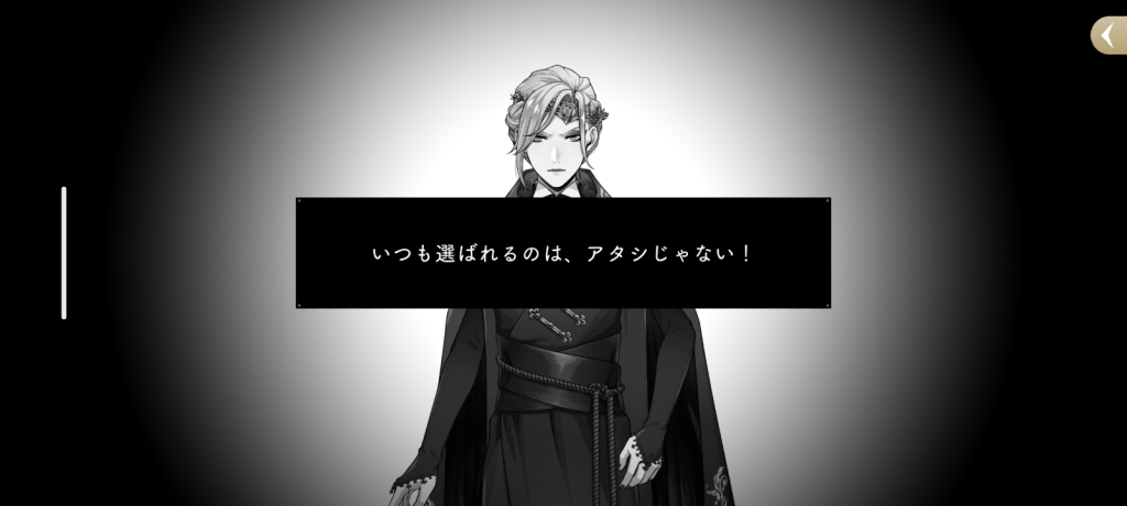 ヴィル回想2